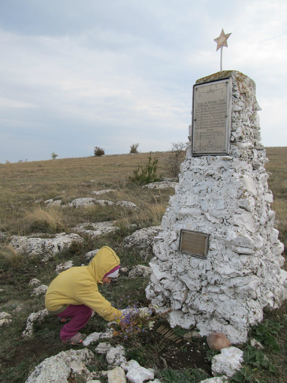 image?t=3&bid=479859386368&id=479859386368&plc=WEB&tkn=*UpvXeuIZLzfgVK4QW0io3n8OLhA